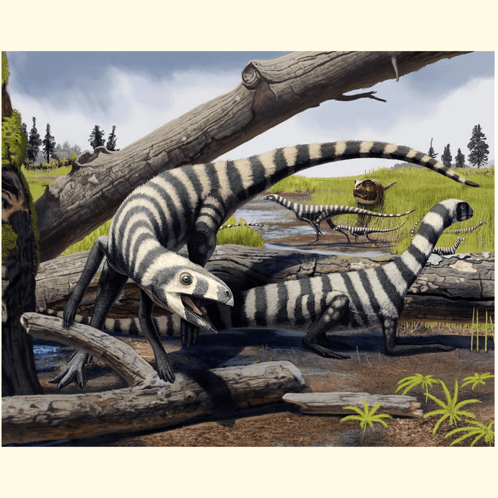 Asilisaurus Pack Poster | Jurassic Studio