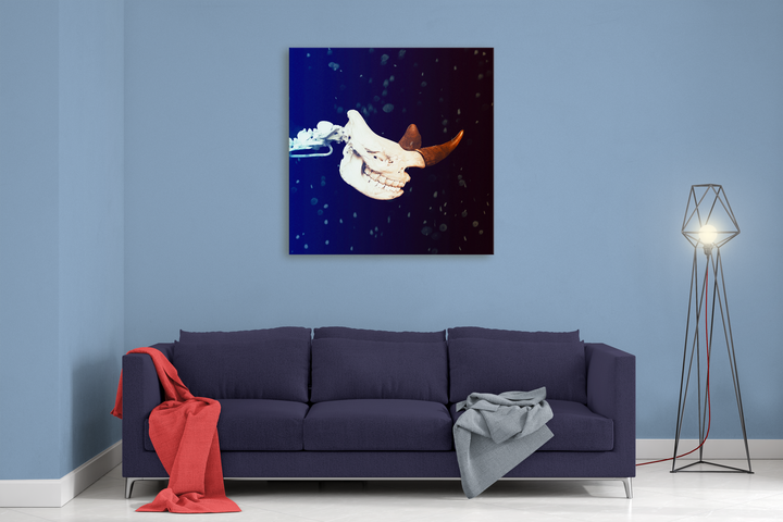 Rhinoceros Skeleton Head Canvas Wrap | Jurassic Studio