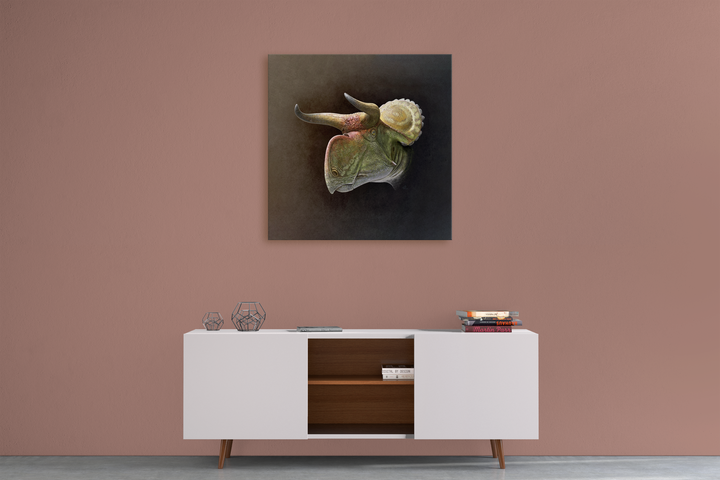 Nasutoceratops Portrait Canvas Wrap | Jurassic Studio