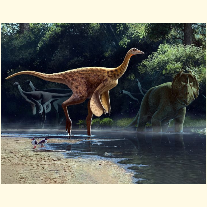 The Rativates Poster by Jurassic Studio features vibrant dinosaur art: a feathered dinosaur near water, distant dinosaurs, a large horned dinosaur to the right, and two small birds on the shore—ideal for canvas posters.