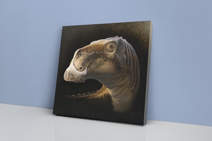Acristavus Portrait Canvas Wrap