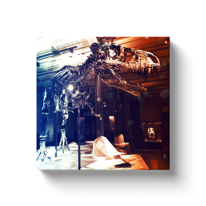 The Jurassic Studio T-Rex Full Skeleton Canvas Wrap captures the dramatic presence of a museums Tyrannosaurus rex display, with striking shadows and lighting for impressive dinosaur art on your wall.