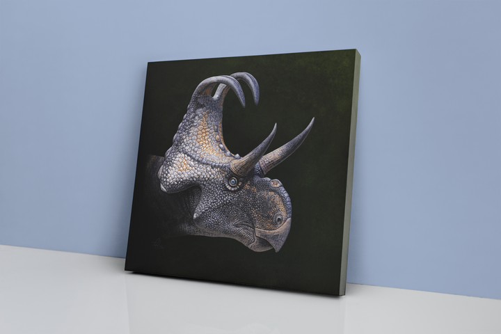 The Jurassic Studio Triceratops Portrait Canvas Wrap features a realistic horned dinosaur illustration, with textured skin and prominent horns, displayed against a light blue wall on a white surface.