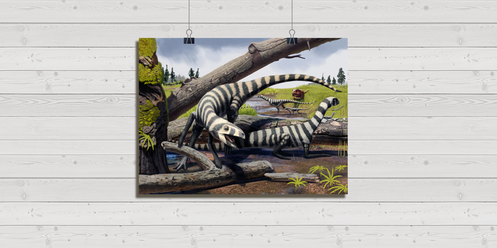 Asilisaurus Pack Poster | Jurassic Studio