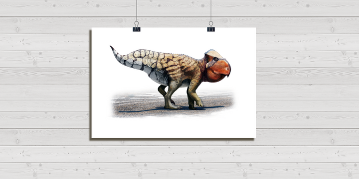 The Udanoceratops Poster by Jurassic Studio shows a striped dinosaur with a large orange frill and beak, standing on four legs and facing left. This vibrant artwork is clipped to a white wooden wall for display.