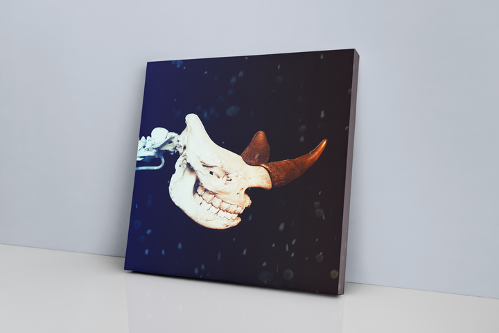 Rhinoceros Skeleton Head Canvas Wrap | Jurassic Studio