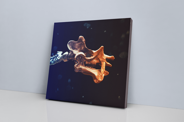 The Uintatherium Skeleton Canvas Wrap by Jurassic Studio features a close-up of animal vertebrae in blue and orange hues, leaning against a light wall—ideal for lovers of unique dinosaur art.