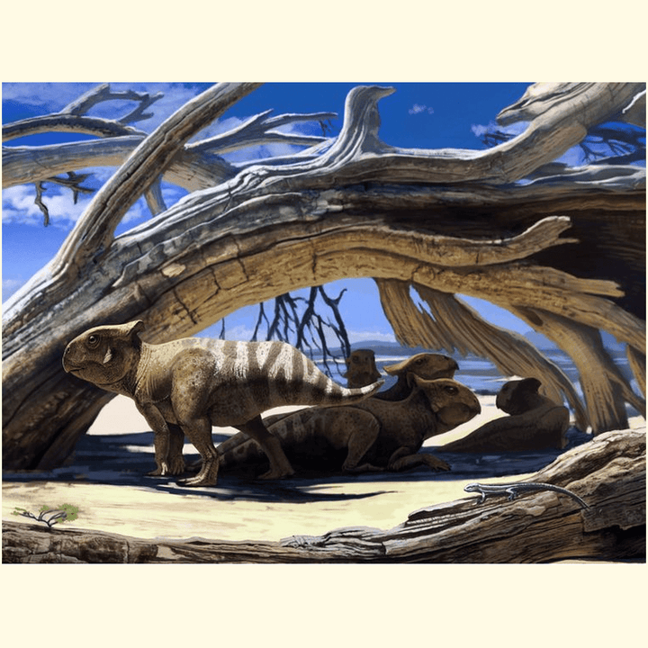 Protoceratops Shelter Poster | Jurassic Studio