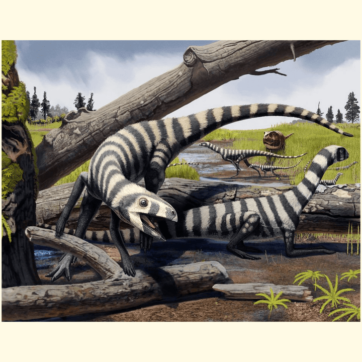 Asilisaurus Pack Poster | Jurassic Studio