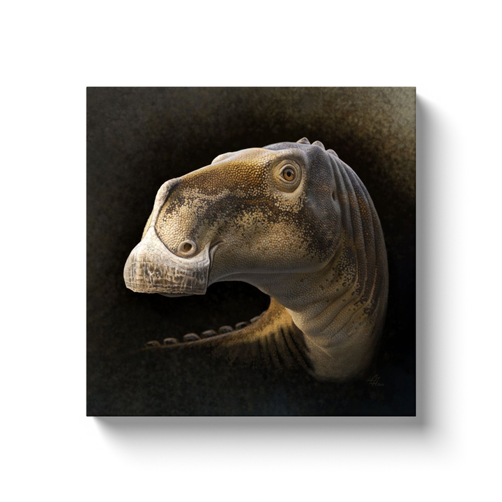Add the “Acristavus Portrait Canvas Wrap” by Jurassic Studio to your collection—this digital illustration features a prehistoric, duck-billed dinosaur with textured skin set against a dark gradient background. Perfect wall art for enthusiasts!.
