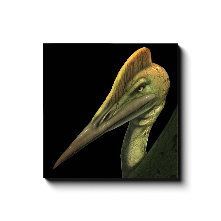 The Jurassic Studio Pterodactyl Portrait Canvas Wrap features a realistic digital illustration of a green-skinned pterosaur with a long beak, head crest, and intense expression on a black background—ideal for striking wall art.