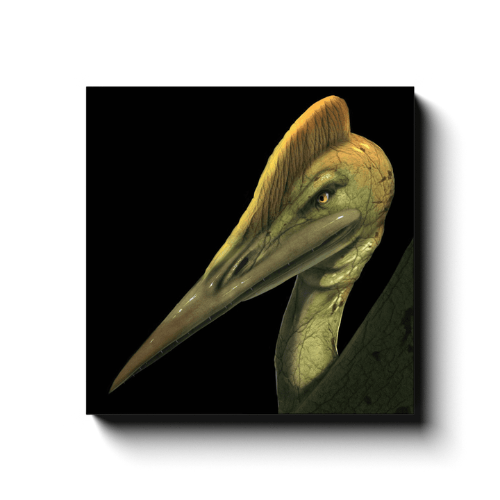 The Pterodactyl Portrait Canvas Wrap by Jurassic Studio features a close-up digital illustration of a yellow-green, crest-headed pterosaur with a long beak on a black background—ideal for dinosaur art lovers.