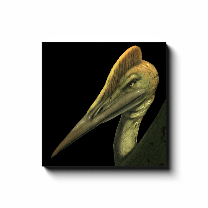 The Jurassic Studio Pterodactyl Portrait Canvas Wrap showcases a green, long-beaked pterosaur with a crest on a black background—eye-catching dinosaur artwork for striking wall displays.