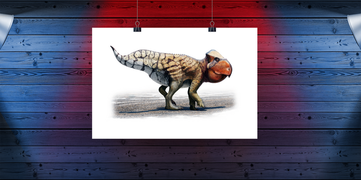 Udanoceratops Poster