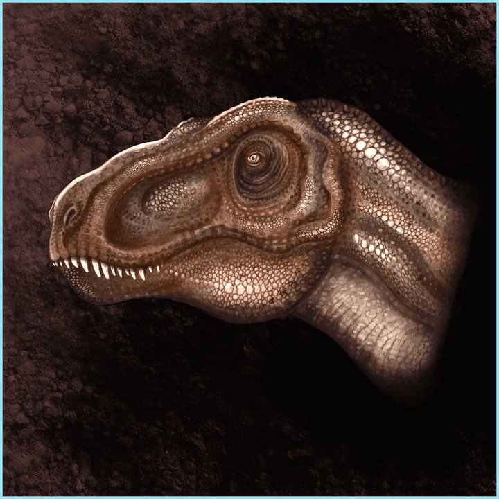Brown T-Rex Portrait Poster | Jurassic Studio