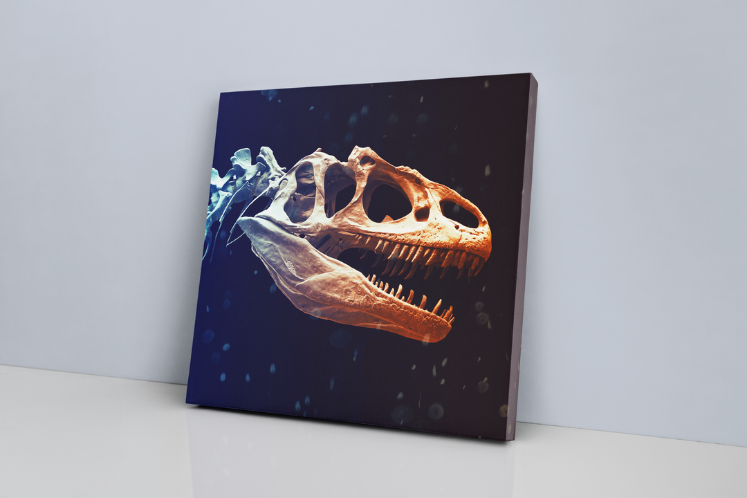 Allosaurus Skeleton Canvas Wrap | Jurassic Studio