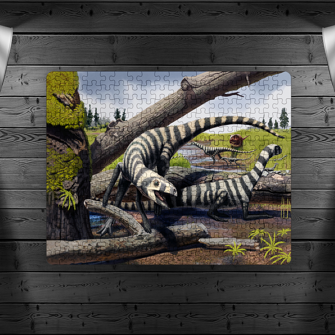 Asilisaurus Pack Puzzle | Jurassic Studio