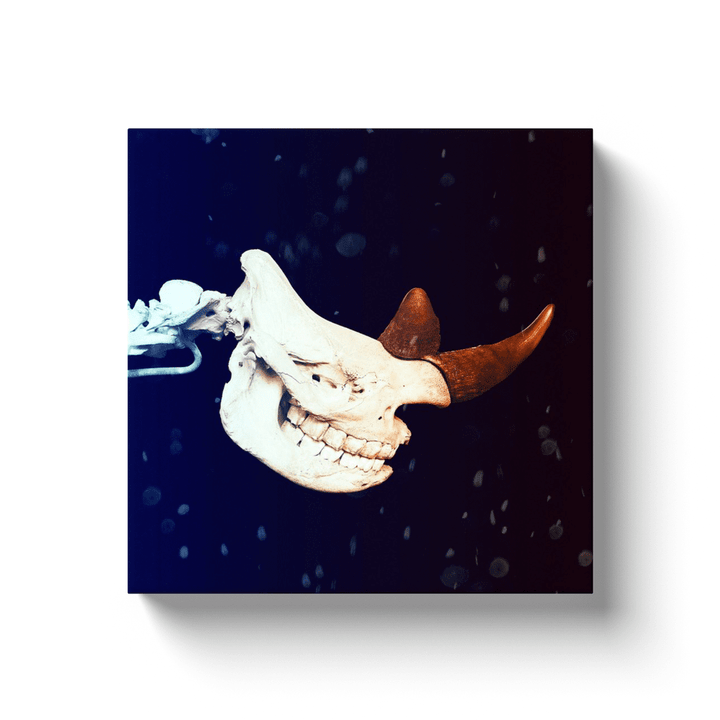 Rhinoceros Skeleton Head Canvas Wrap | Jurassic Studio