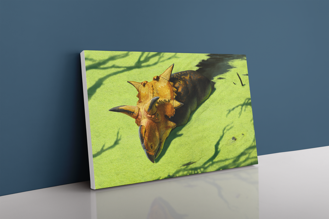 Xenoceratops Canvas Wrap