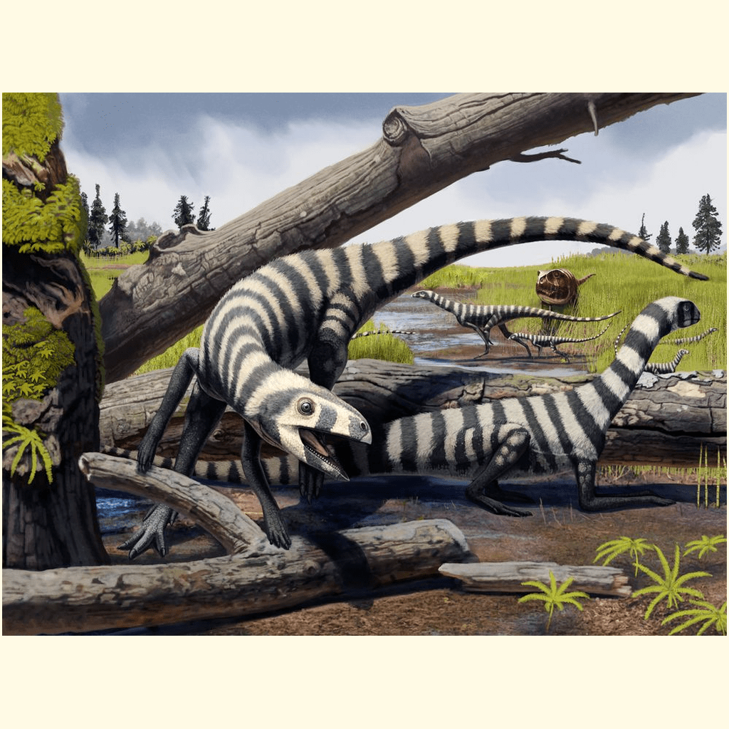 Asilisaurus Pack Poster | Jurassic Studio