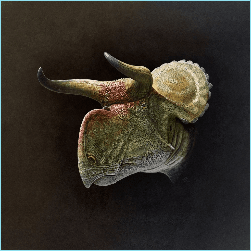 Nasutoceratops Portrait Poster | Jurassic Studio