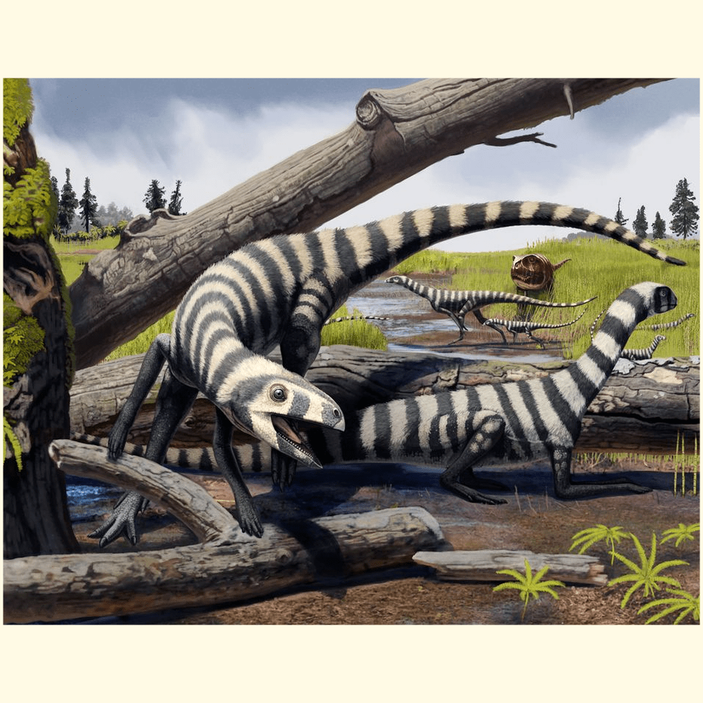 Asilisaurus Posters - Pre Historic Scenes – Jurassic Studio
