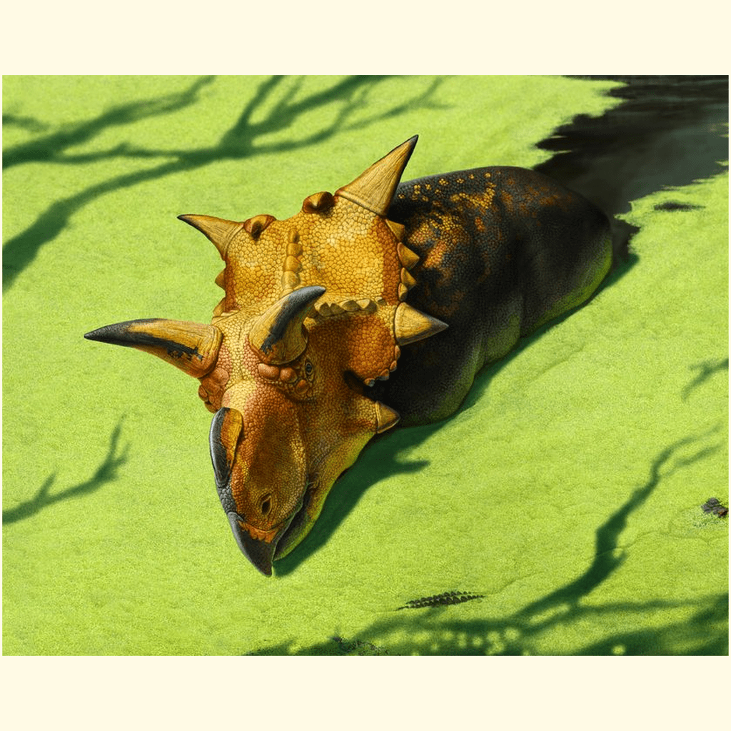 Xenoceratops Poster | Jurassic Studio