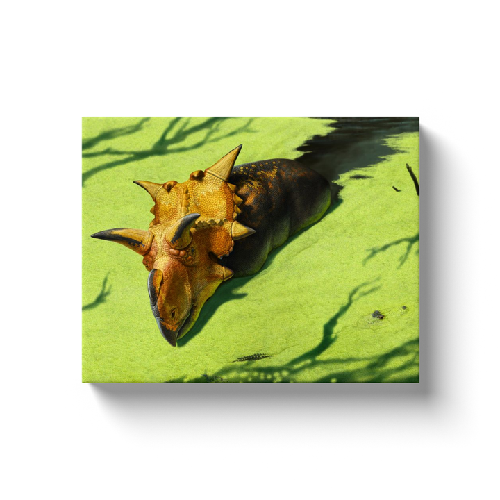 Xenoceratops Canvas Wrap