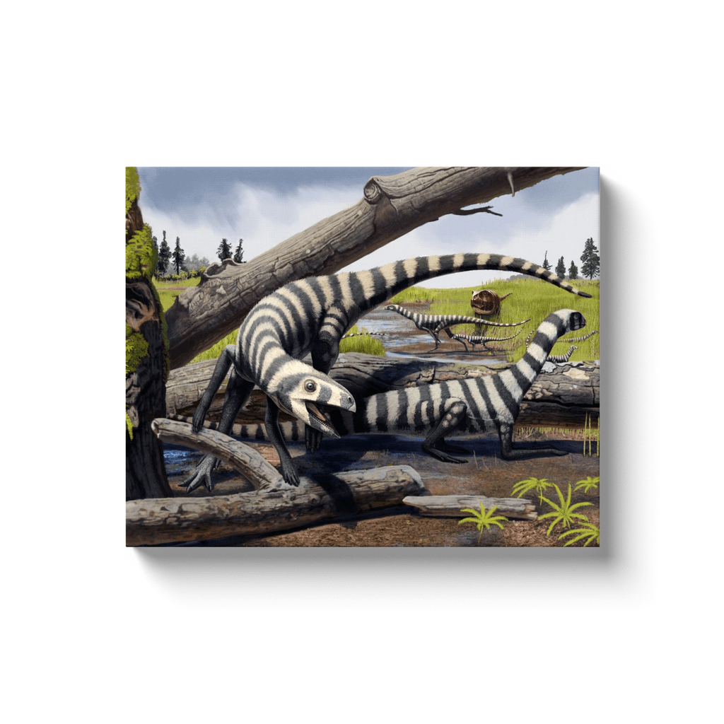 Asilisaurus Pack Canvas Wrap | Jurassic Studio