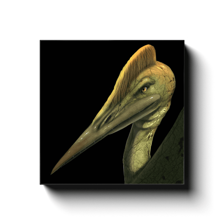 Pterodactyl Portrait Canvas Wrap | Jurassic Studio